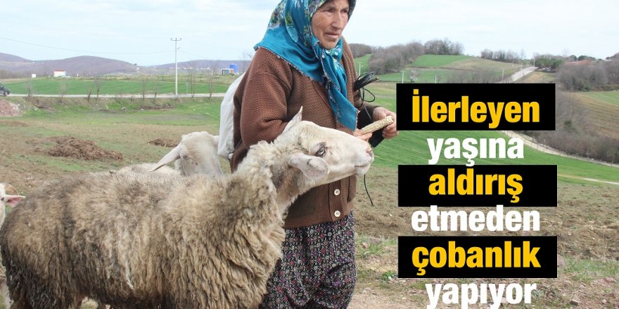 İlerleyen yaşına aldırış etmeden çobanlık yapıyor