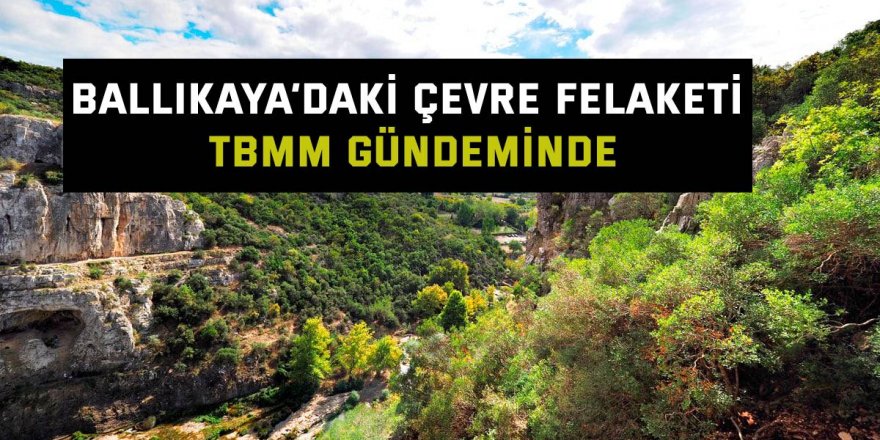 Ballıkaya’daki çevre felaketi TBMM gündeminde