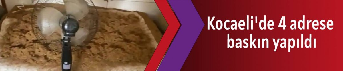 Kocaeli'de 4 adrese  baskın yapıldı