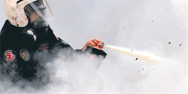 Eylemciye de 'yırtıcı hayvana'da aynı gaz