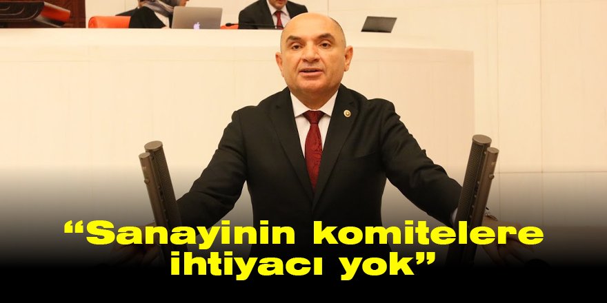 “Sanayinin komitelere ihtiyacı yok”