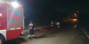 Ormanlık alandaki arı kovanları kül oldu
