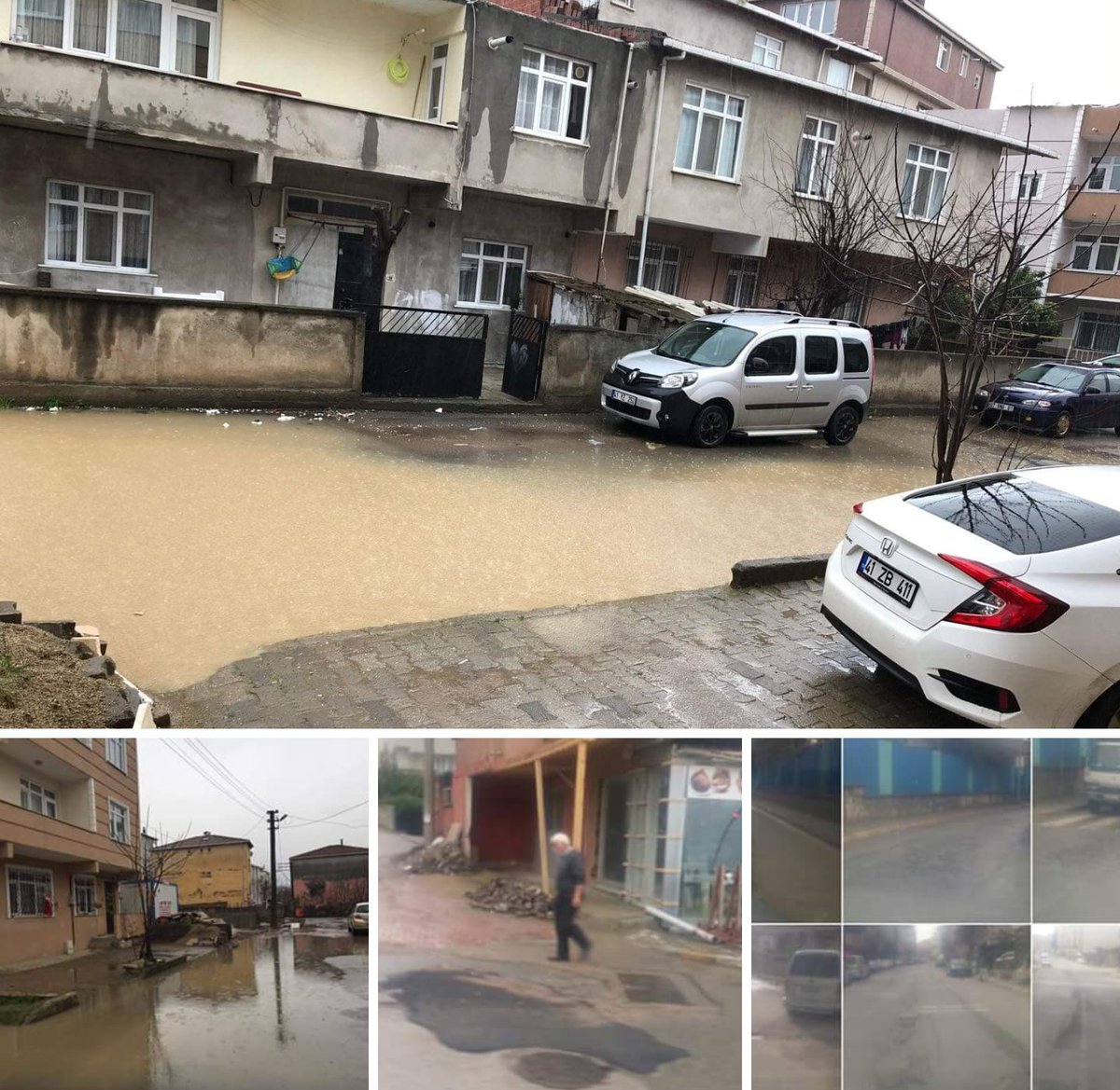 darica.jpg