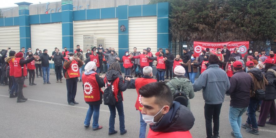 halay-010.jpg