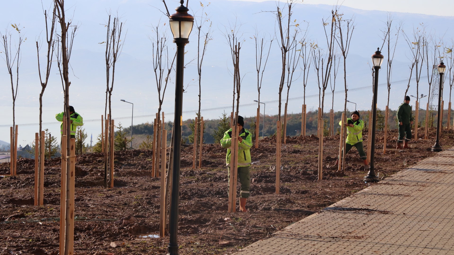 umuttepe-yesilleniyor-(4).jpg